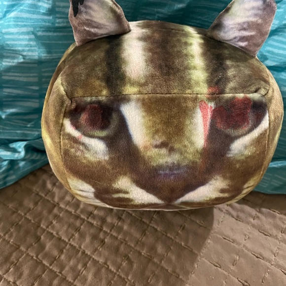 Roblox raise a Floppa cat . - Picture 11 of 11